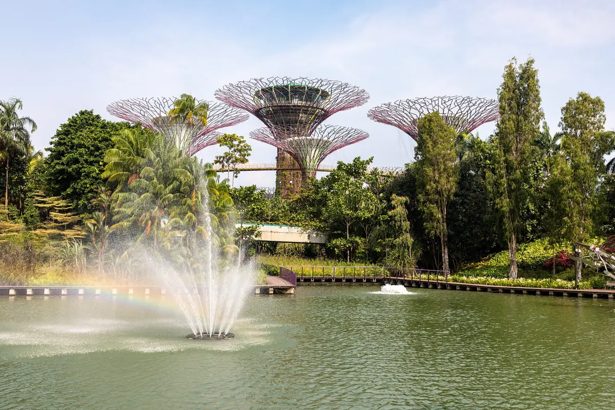 A fountain and Supertrees in the gardens