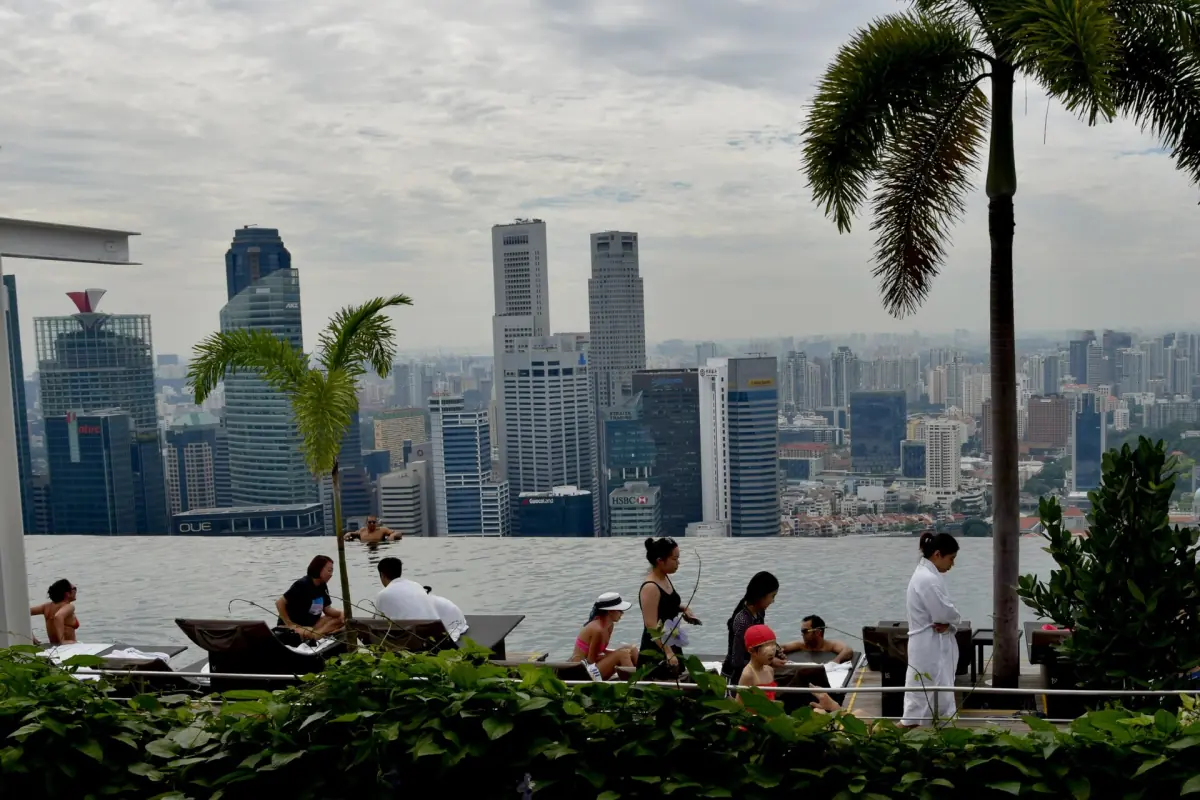 Palms and loungers at the rooftop pool