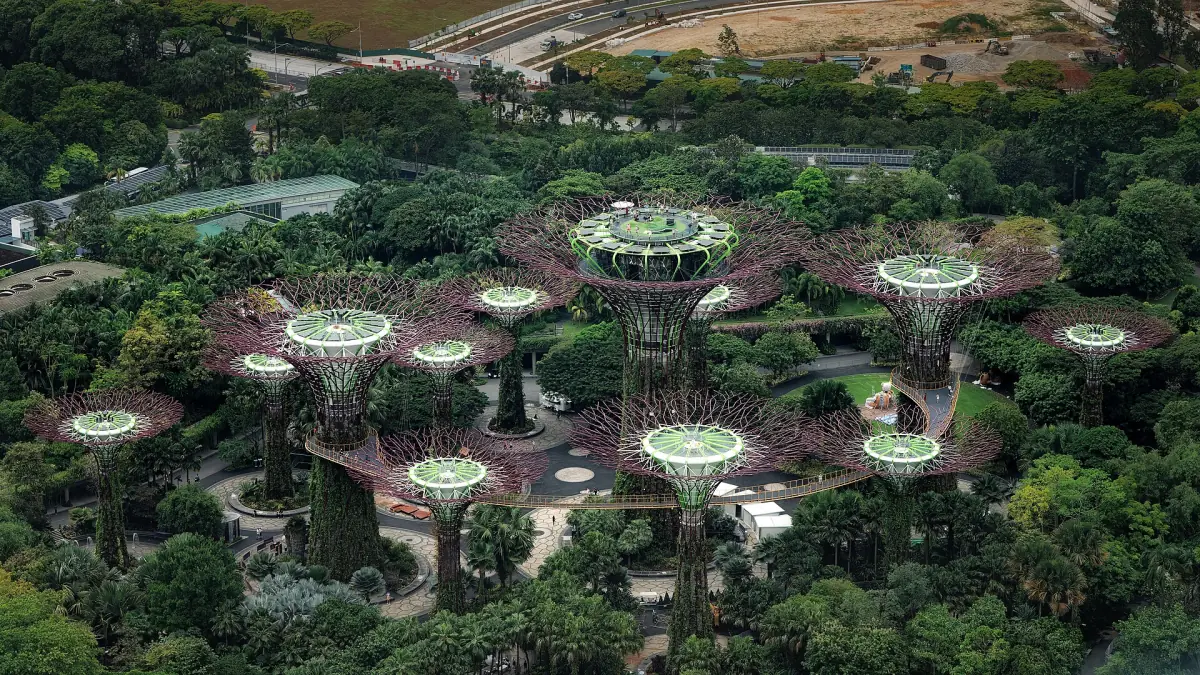 Supertree Grove seen from above