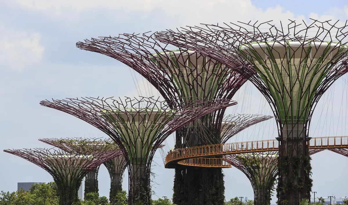 The skyway between Supertrees